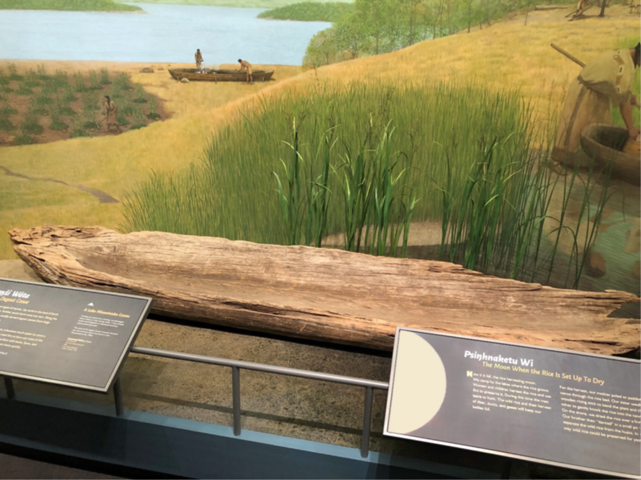Dugout canoe in museum exhibit behind two museum information panels